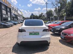 Tesla Model Y rear-wheel drive version - фото 3