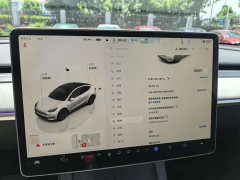 Tesla Model Y rear-wheel drive version - фото 8