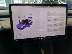 Tesla Model 3 Standard Range Rear Drive Upgraded Version - фото 7
