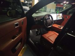 Li Auto Ideal L9 Pro - фото 12