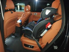 Li Auto Ideal L9 Pro - фото 13