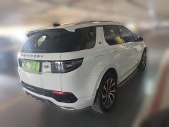 Lexus Discovery Sport 249PS R-Dynamic HSE Luxury Custom Edition - фото 4