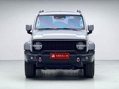 Tank 300 2021 City Edition 2.0T Very Stylish - фото 2