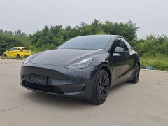 Tesla Model Y long-range all-wheel drive version - фото 1