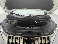 Trumpchi M8 Master Series 400T Extreme Edition - фото 9