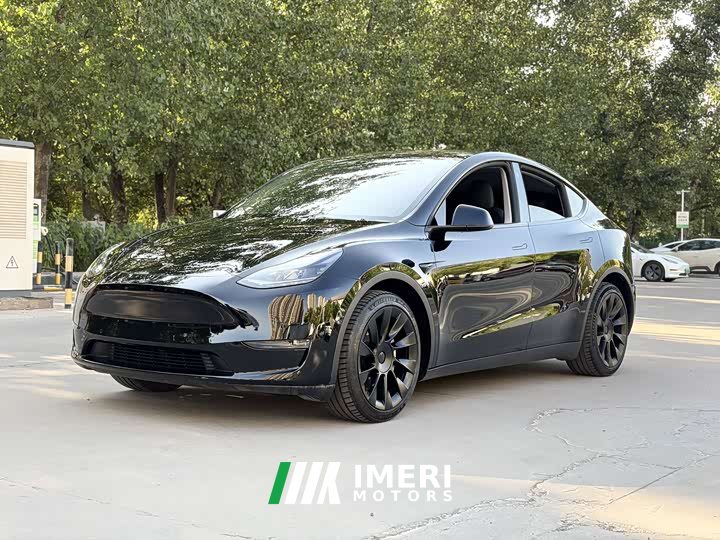 Tesla Model Y standard range rear-wheel drive version - автомобиль из Китая