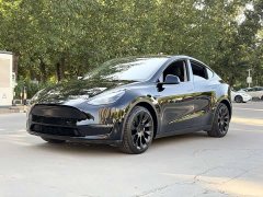 Tesla Model Y standard range rear-wheel drive version - фото 1