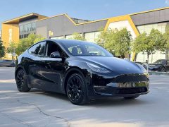 Tesla Model Y standard range rear-wheel drive version - фото 3