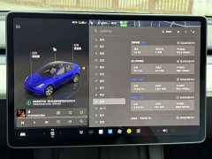 Tesla Model Y 2022 rear-wheel drive version - фото 16