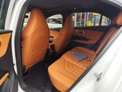 Lynk & Co Nezha X 500 - фото 4