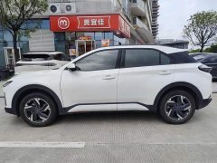 Lynk & Co Nezha X 500 - фото 7