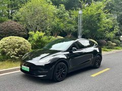 Tesla Model Y long-range all-wheel drive version - фото 1