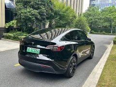Tesla Model Y long-range all-wheel drive version - фото 10