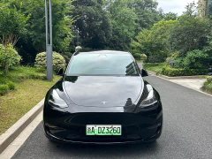 Tesla Model Y long-range all-wheel drive version - фото 2