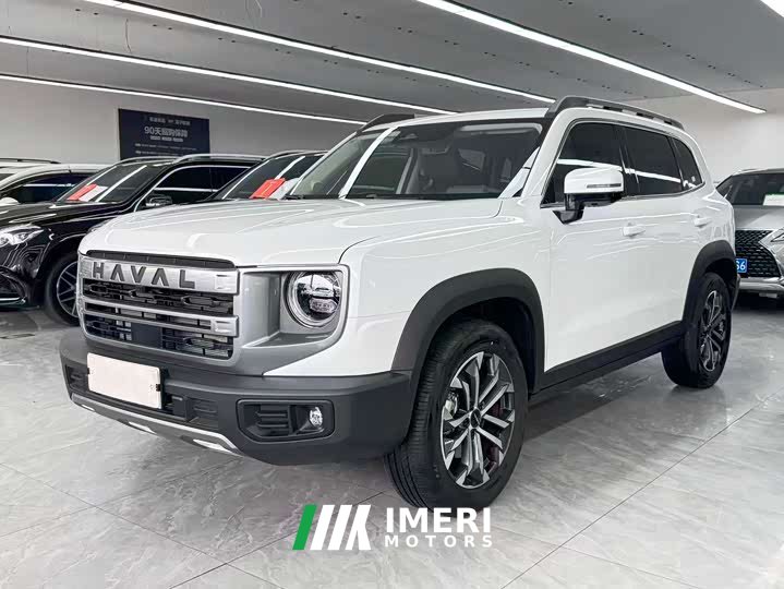 Haval Big Dog 2024 1.5T DCT Border Collie Edition - автомобиль из Китая