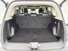 Haval Big Dog 2024 1.5T DCT Border Collie Edition - фото 19