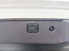 Haval Big Dog 2024 1.5T DCT Border Collie Edition - фото 20
