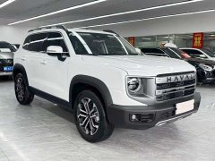 Haval Big Dog 2024 1.5T DCT Border Collie Edition - фото 3