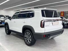 Haval Big Dog 2024 1.5T DCT Border Collie Edition - фото 4