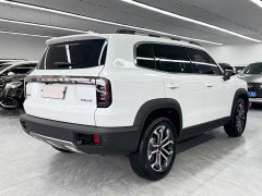 Haval Big Dog 2024 1.5T DCT Border Collie Edition - фото 6
