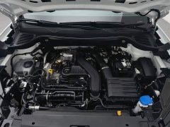 Volkswagen Tuyue 2024 300TSI two-wheel drive full moon version - фото 6