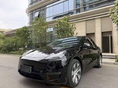 Tesla Model Y long-range all-wheel drive version - фото 1