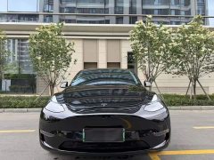 Tesla Model Y long-range all-wheel drive version - фото 3