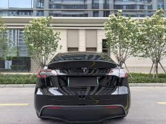 Tesla Model Y long-range all-wheel drive version - фото 5