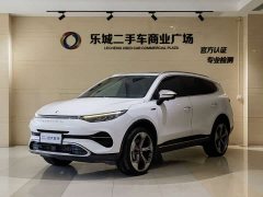 Denza X 2020 PHEV flagship version - фото 1