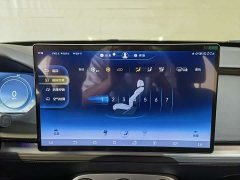 Denza X 2020 PHEV flagship version - фото 13