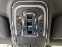 Denza X 2020 PHEV flagship version - фото 16
