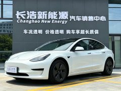 Tesla Model 3 Standard Range Rear Drive Upgraded Version - фото 1