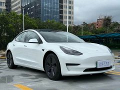 Tesla Model 3 Standard Range Rear Drive Upgraded Version - фото 3