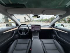 Tesla Model 3 Standard Range Rear Drive Upgraded Version - фото 5