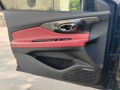 Trumpchi Shadow Leopard 270T DCT J15 version - фото 8