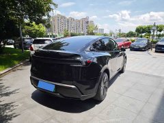 Tesla Model Y rear-wheel drive version - фото 15