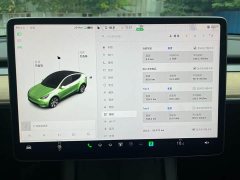 Tesla Model Y 2021 standard range rear-wheel drive version - фото 11