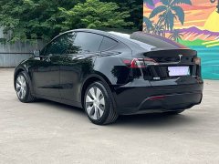 Tesla Model Y 2021 standard range rear-wheel drive version - фото 4
