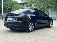 Tesla Model Y 2021 standard range rear-wheel drive version - фото 6