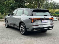 Lynk & Co Ruijie L 2.0T EcoBoost four-wheel drive seven-seat supreme - фото 4