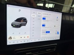 Li Auto Ideal L9 2022 Max - фото 6