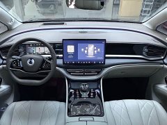Denza D9 DM-i 970 four-wheel drive flagship - фото 9