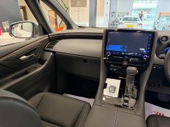 Alfa Romeo Alfa 2023 Dual Engine 2.5L Premium Gold Edition - фото 6