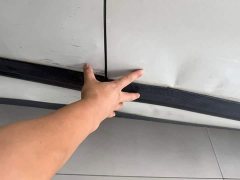 Lexus Zhiji LS6 2025 Smart Lizard Driving Edition - фото 3