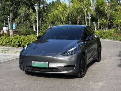 Tesla Model Y 2022 rear-wheel drive version - фото 1