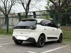 Lynk & Co Nano 01 430 Plus smart - фото 3