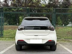 Lynk & Co Nano 01 430 Plus smart - фото 4