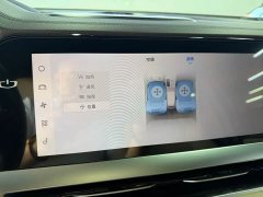 Geely Xingyue L Oriental Glory 2.0TD Automatic AWD Wangyue Edition - фото 7
