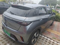 BYD Dolphin 420km Free Edition - фото 2
