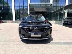 Lexus Envision Plus 2022 Envision Plus 652T five-seater luxury - фото 2